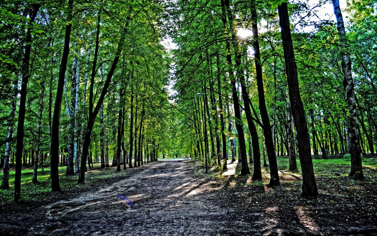 Городские парки и зоны отдыха