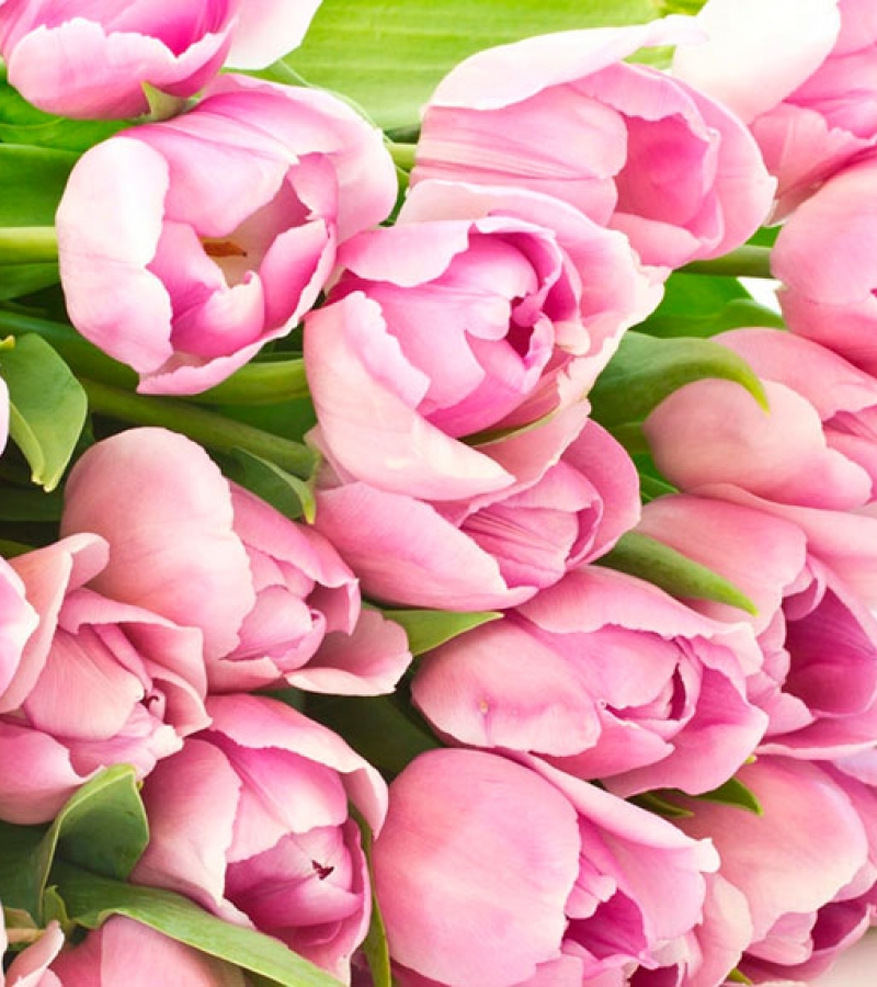 Весна. Любовь. Мимоза. С праздником 8 марта!