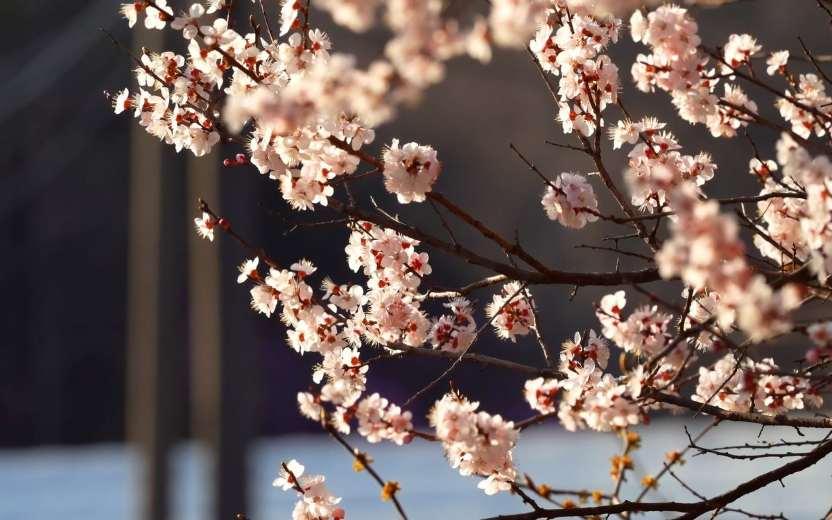 Живописный двор 