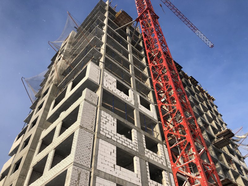 Декабрь / 2021