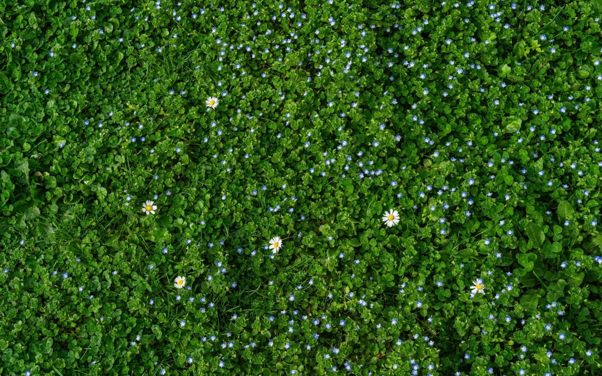 Сделано на природе