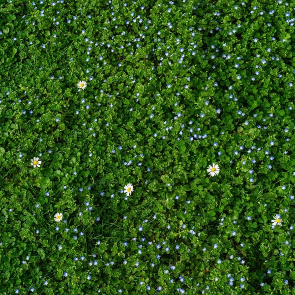 Сделано на природе