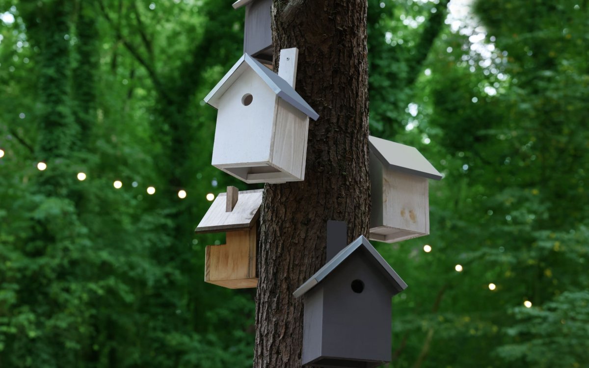 Выехать за город? Легко