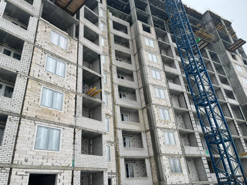 Декабрь / 2024