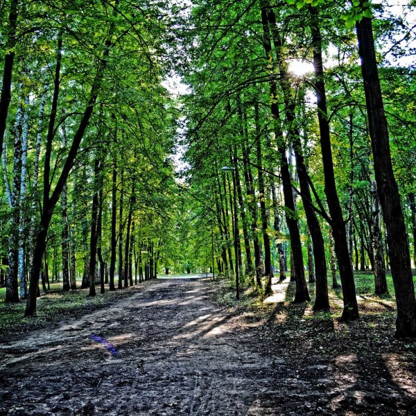 Городские парки и зоны отдыха