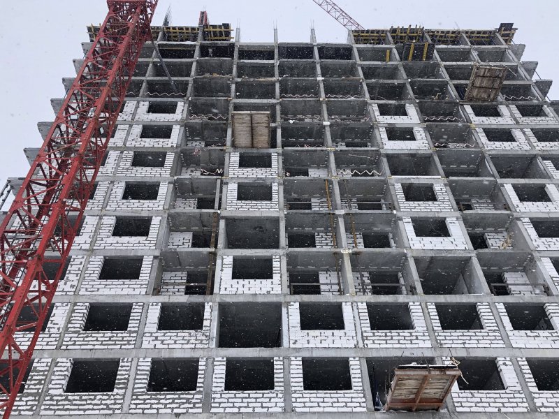 Февраль / 2021