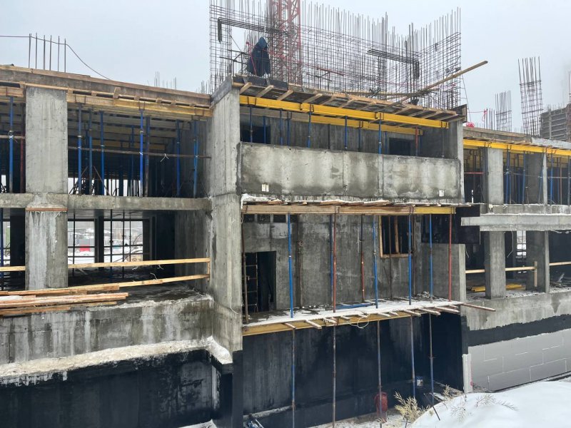 Декабрь / 2025