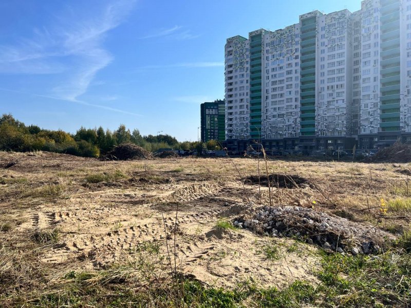 Сентябрь / 2025