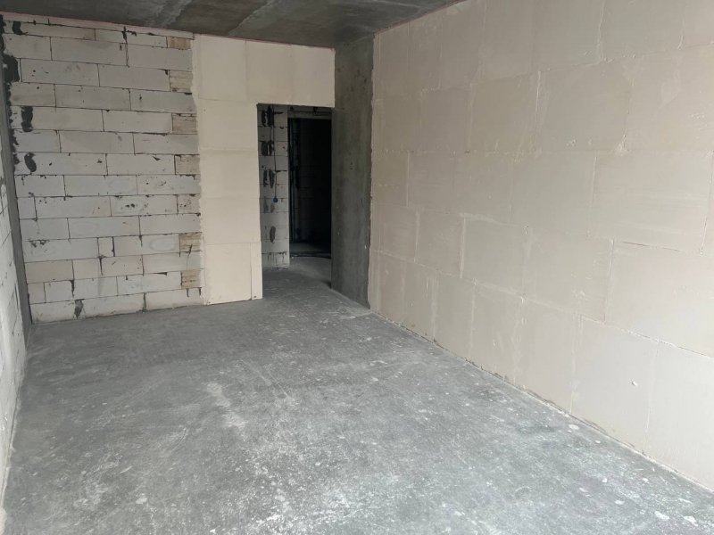 Февраль / 2025