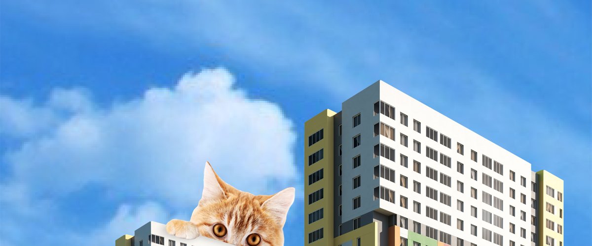 ВЫДАЕМ КЛЮЧИ В 