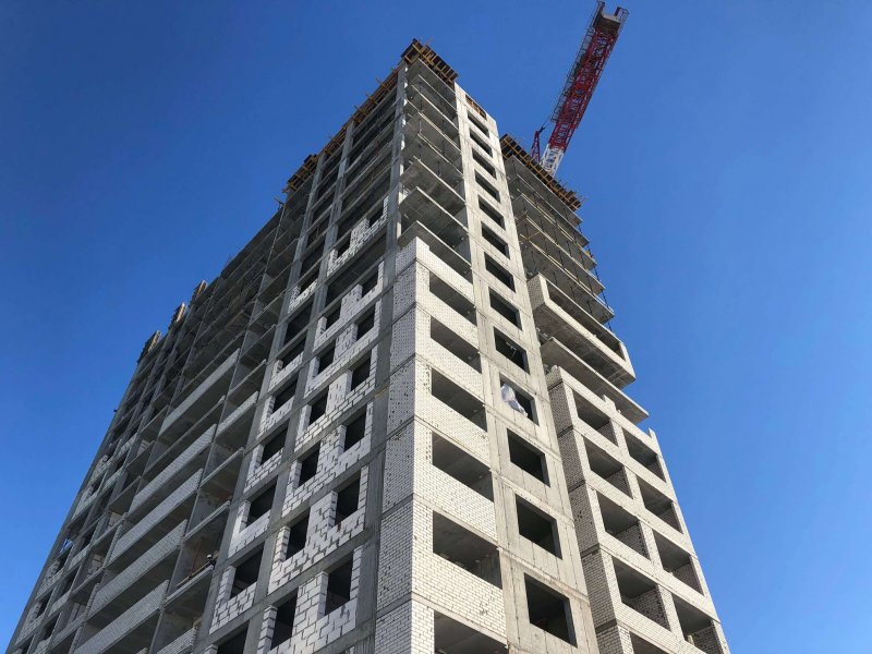 Февраль / 2022