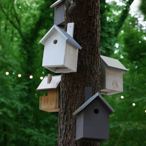 Выехать за город? Легко